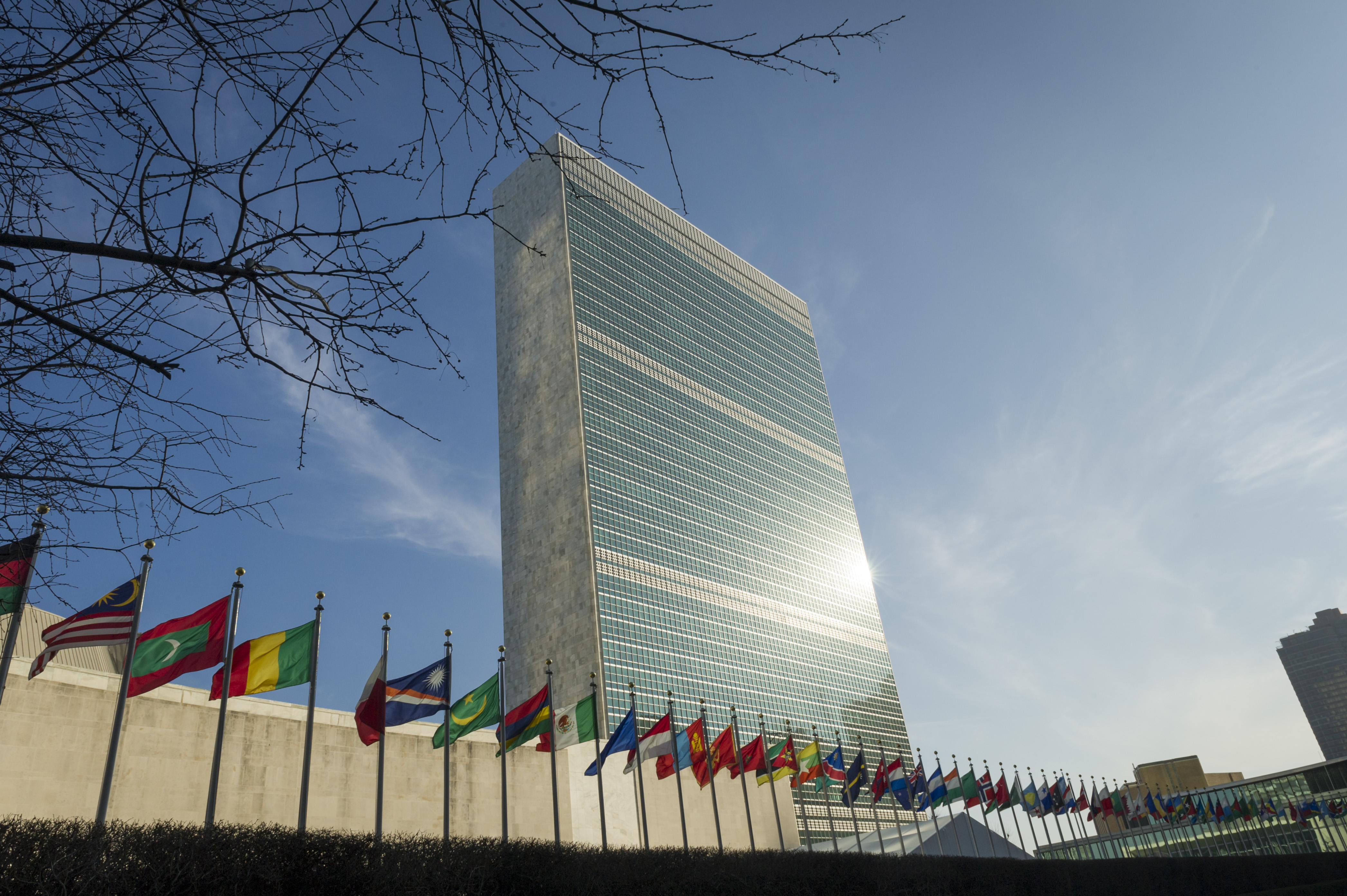 un building with world flags outside fall sunny day