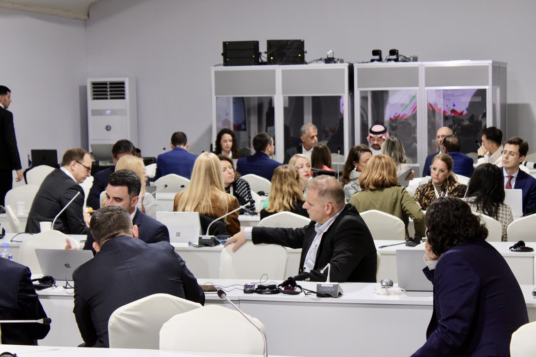 Audience of people sitting at COSP11