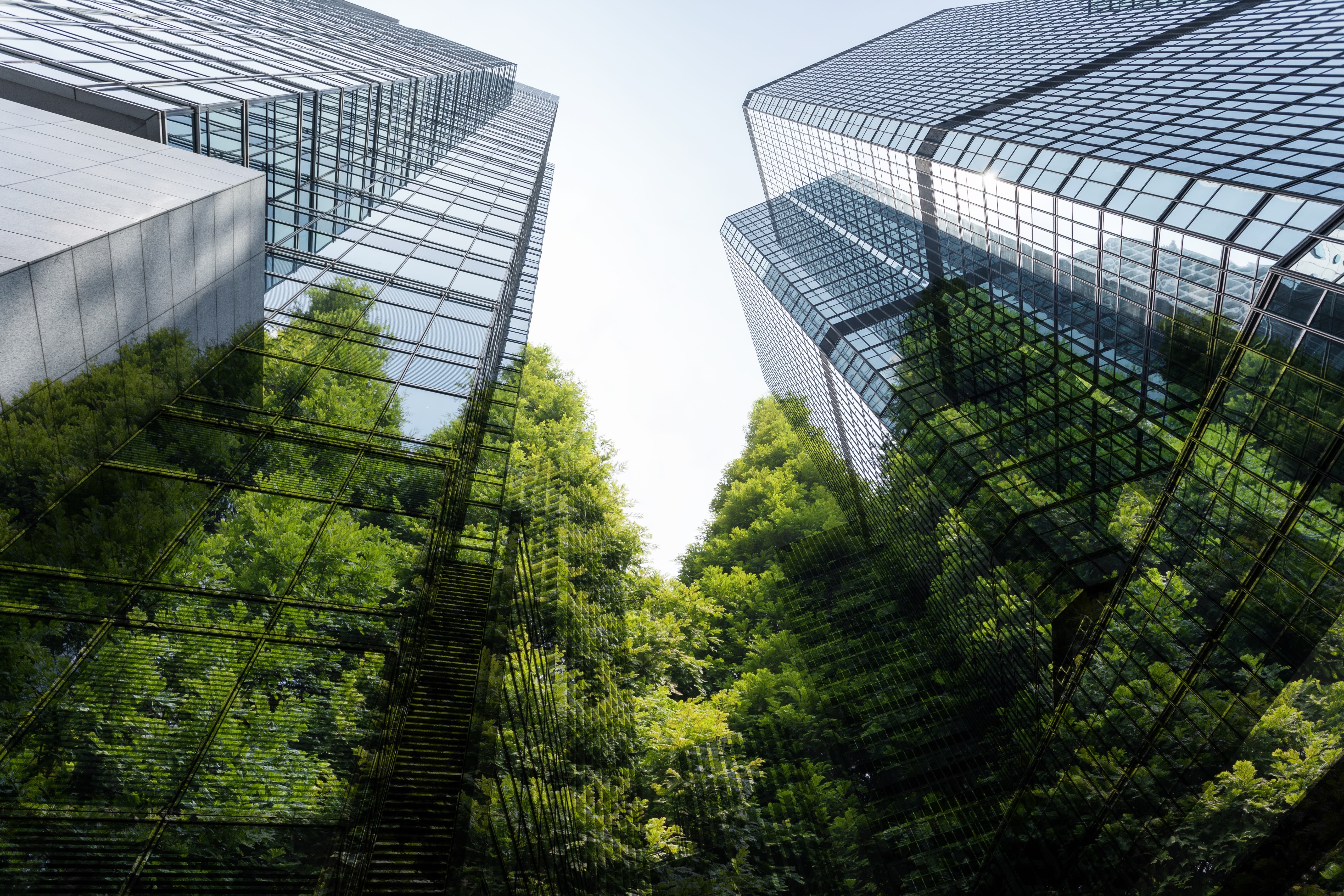 buildings with trees