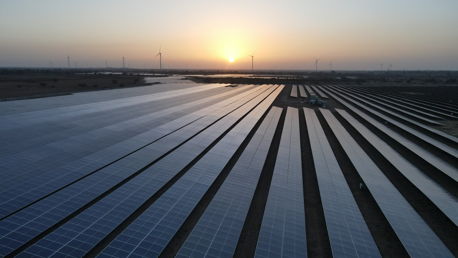 Field of solar panels and sunrise