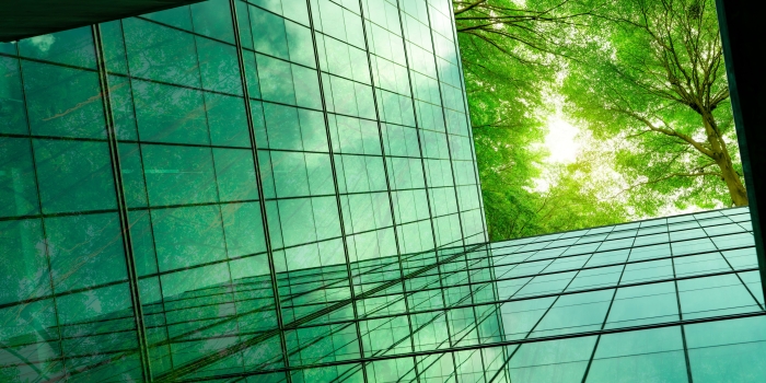 sky scraper with trees above