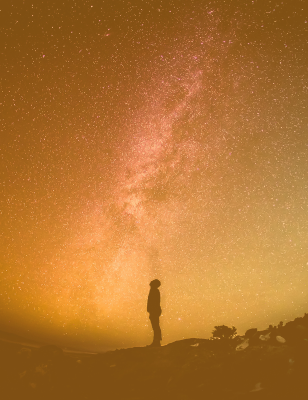 Collaboration & Partnerships