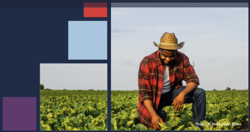 A farmer inspecting his field