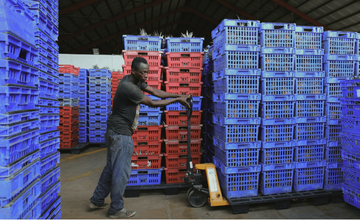 Man moving pallets
