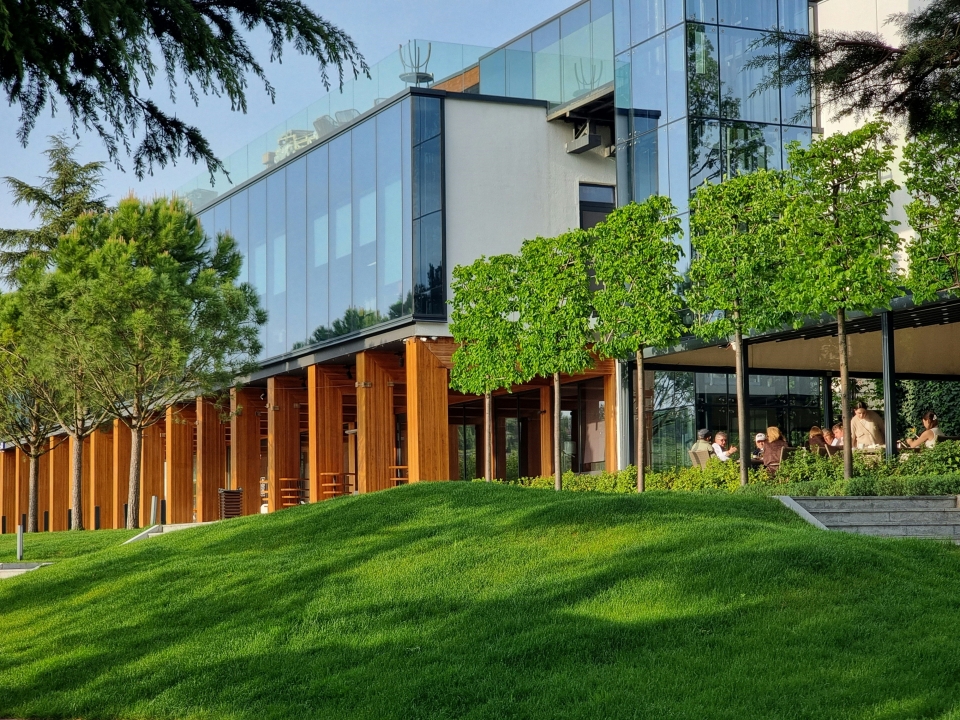 Sustainable Marketing Hub | Cambridge Institute for Sustainability Leadership (CISL)