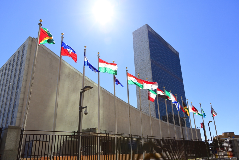 flags outside un 