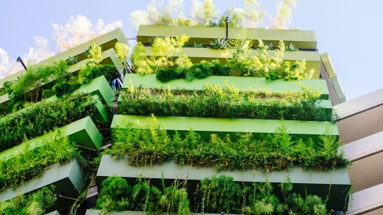 What is Sustainable Marketing?  | Cambridge Institute for Sustainability Leadership (CISL)