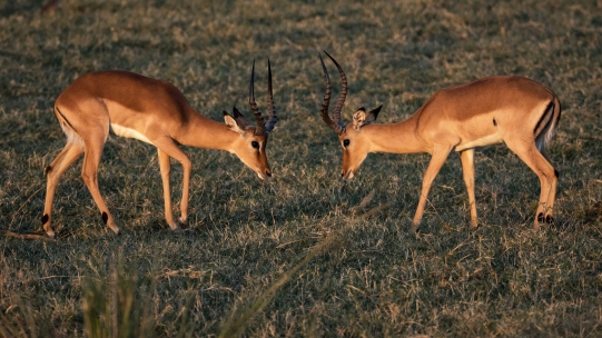 The Big Sustainability Debate 2024