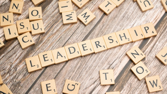 Leadership capabilities for the 21st century