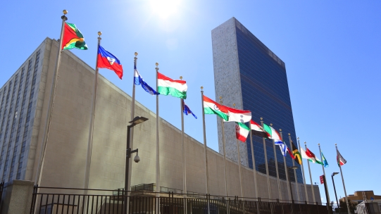flags outside un 